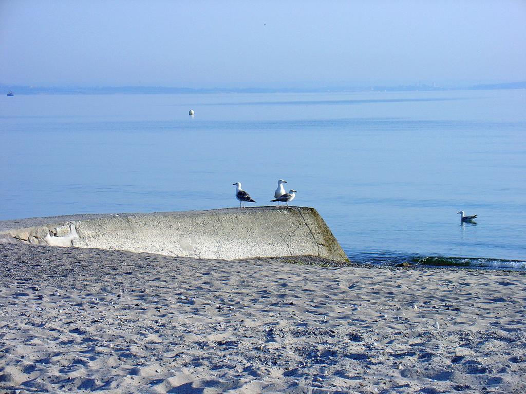 Fewo Machedanz Am Hafen Timmendorfer Strand Ot Niendorf Eksteriør bilde